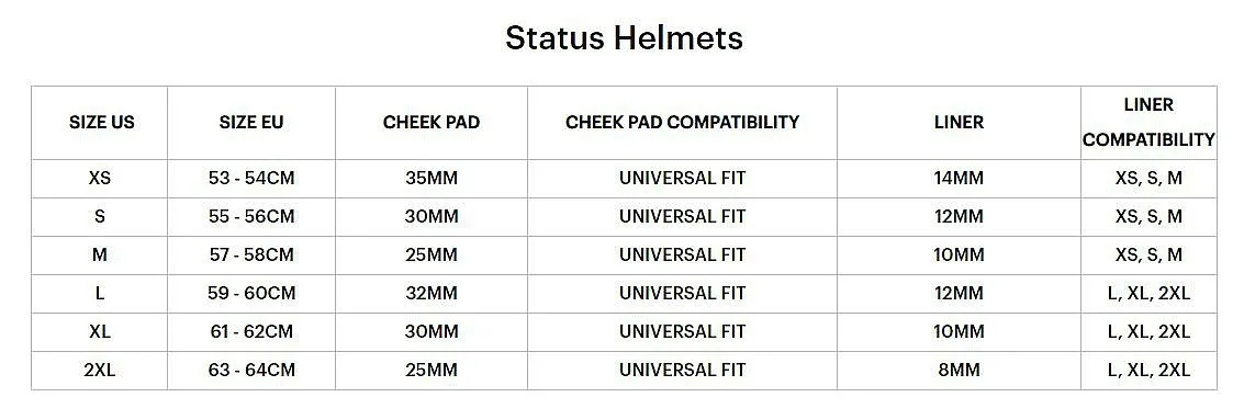 helmet 100% Status - Black/White Matte